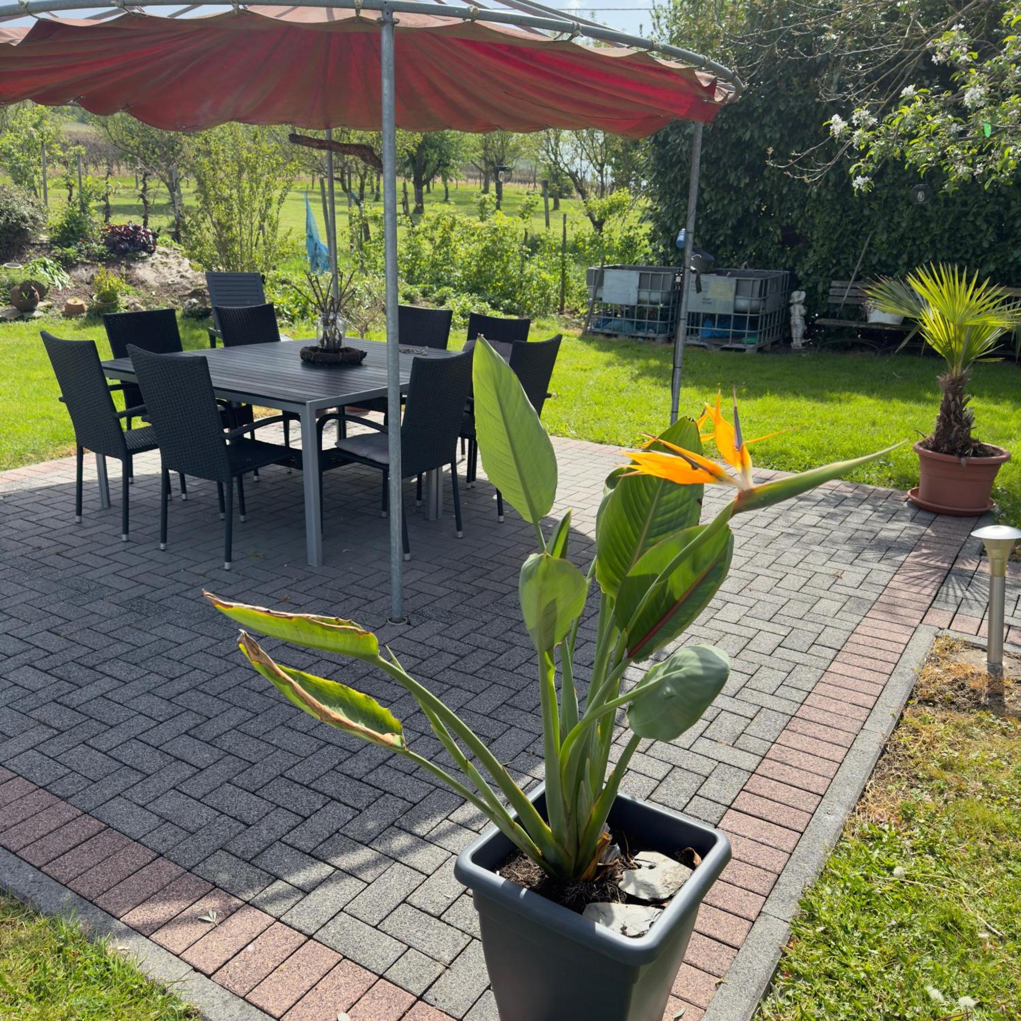 Bed and Breakfast Weingut Tiliahof Brauneberg Exterior foto