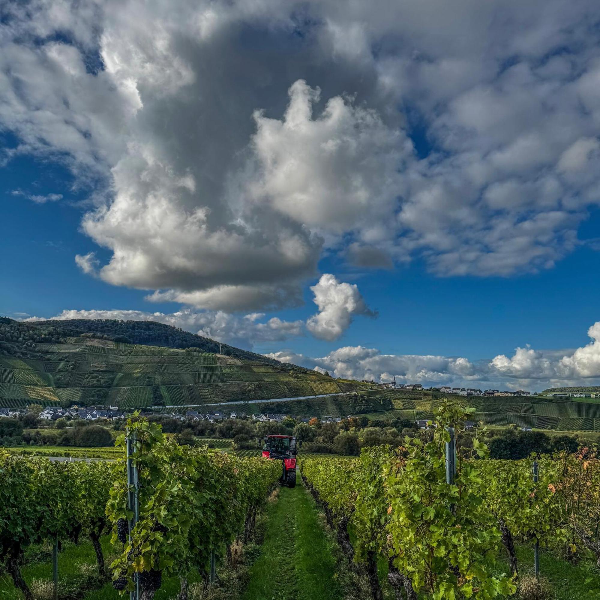 Bed and Breakfast Weingut Tiliahof Brauneberg Exterior foto