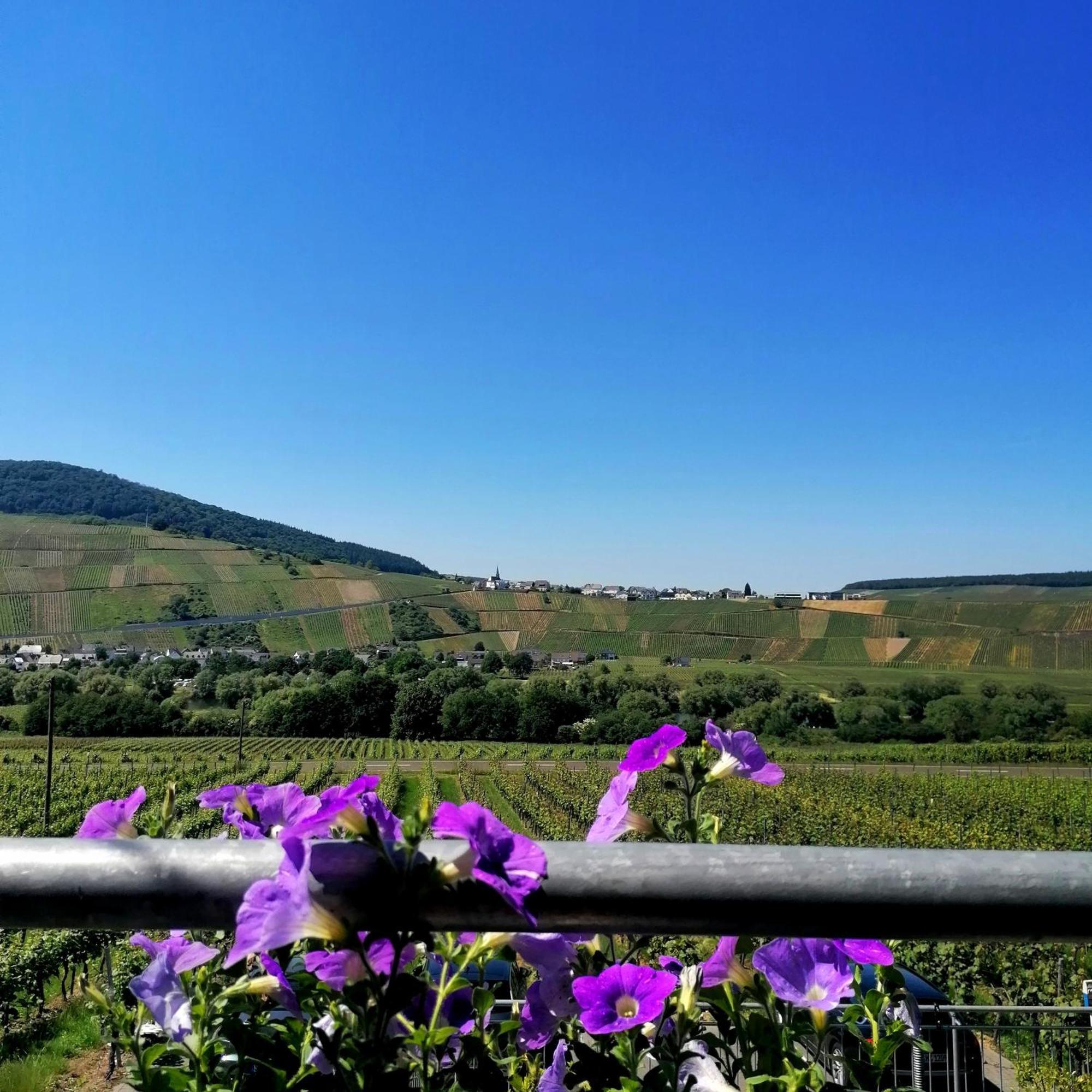 Bed and Breakfast Weingut Tiliahof Brauneberg Exterior foto